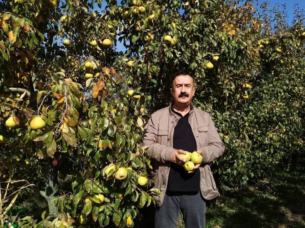 O ilimizde çiftçinin yüzü gülüyor: Hasat, cepleri doldurdu! Kilosu 17 TL, rekolte bu yıl düşük fakat getirisi yüksek 6